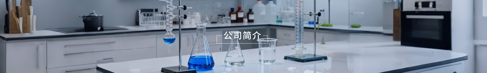 公司简介